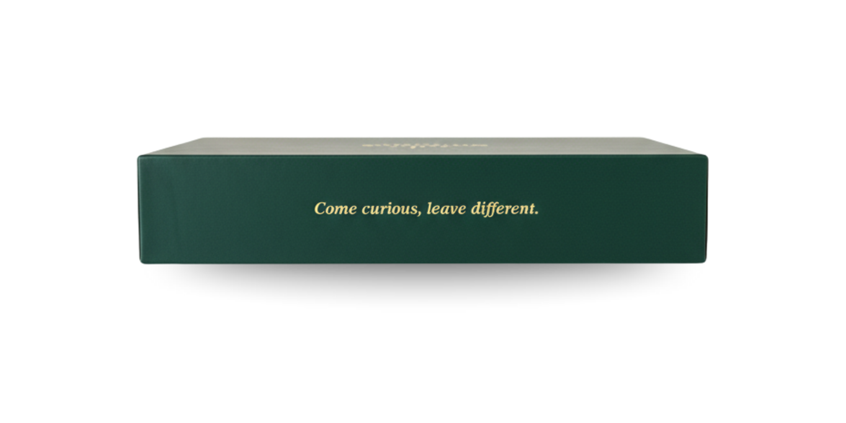 Side of the Not Just Sundays game box with the words Come curious, leave different